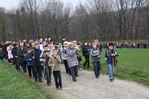 Kliknij, aby powiększyć
