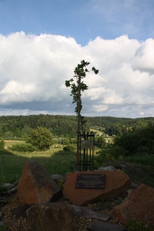 Kliknij, aby powiększyć
